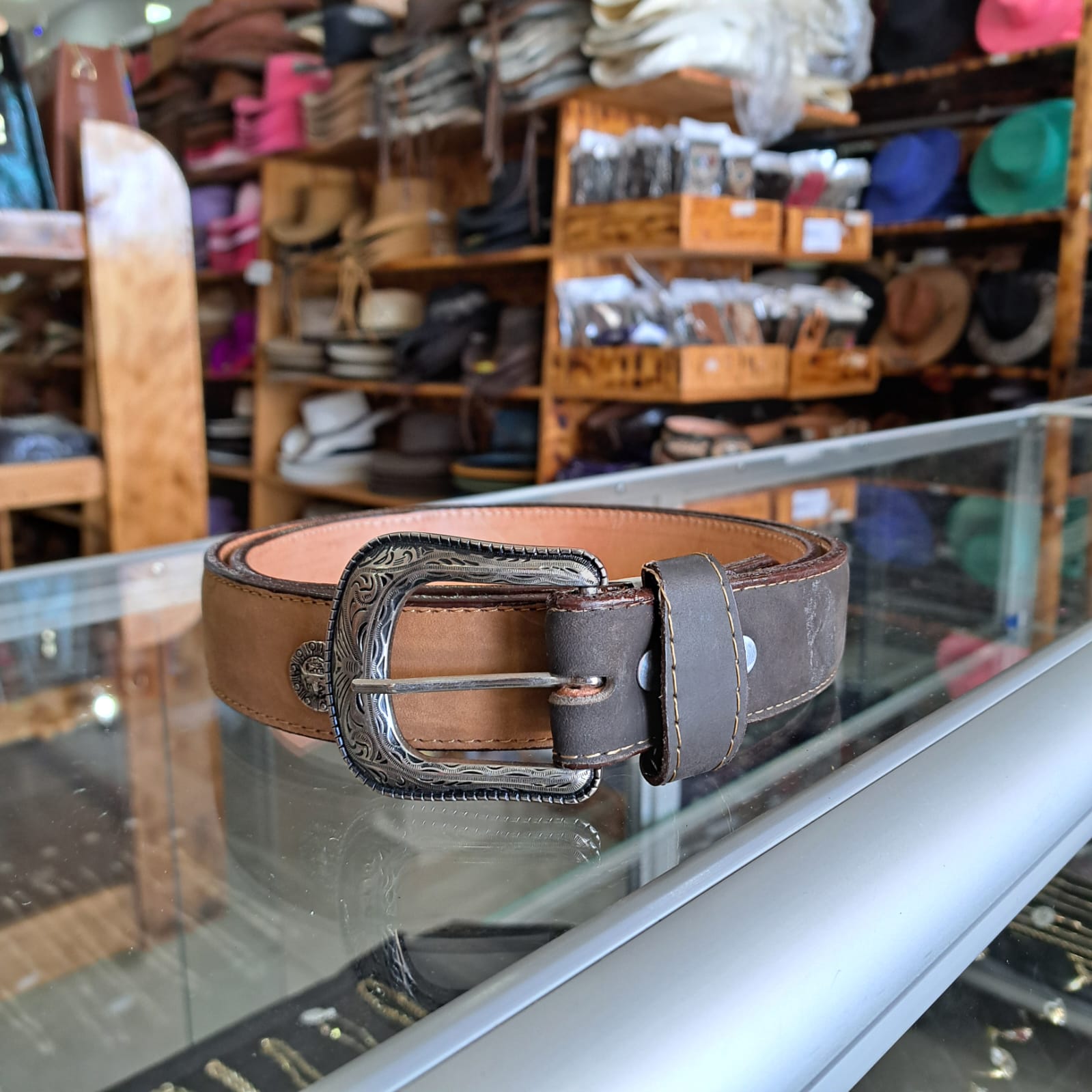 Pinza Vetus Hrc30 Ts-14