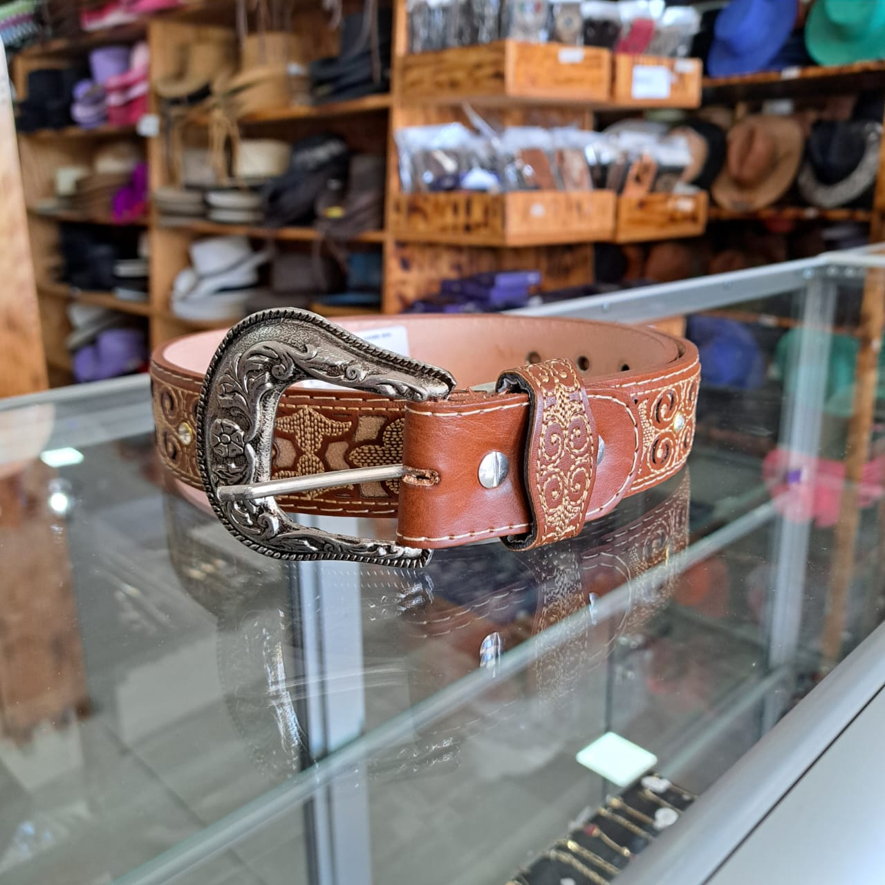 Pinza Recta Economica