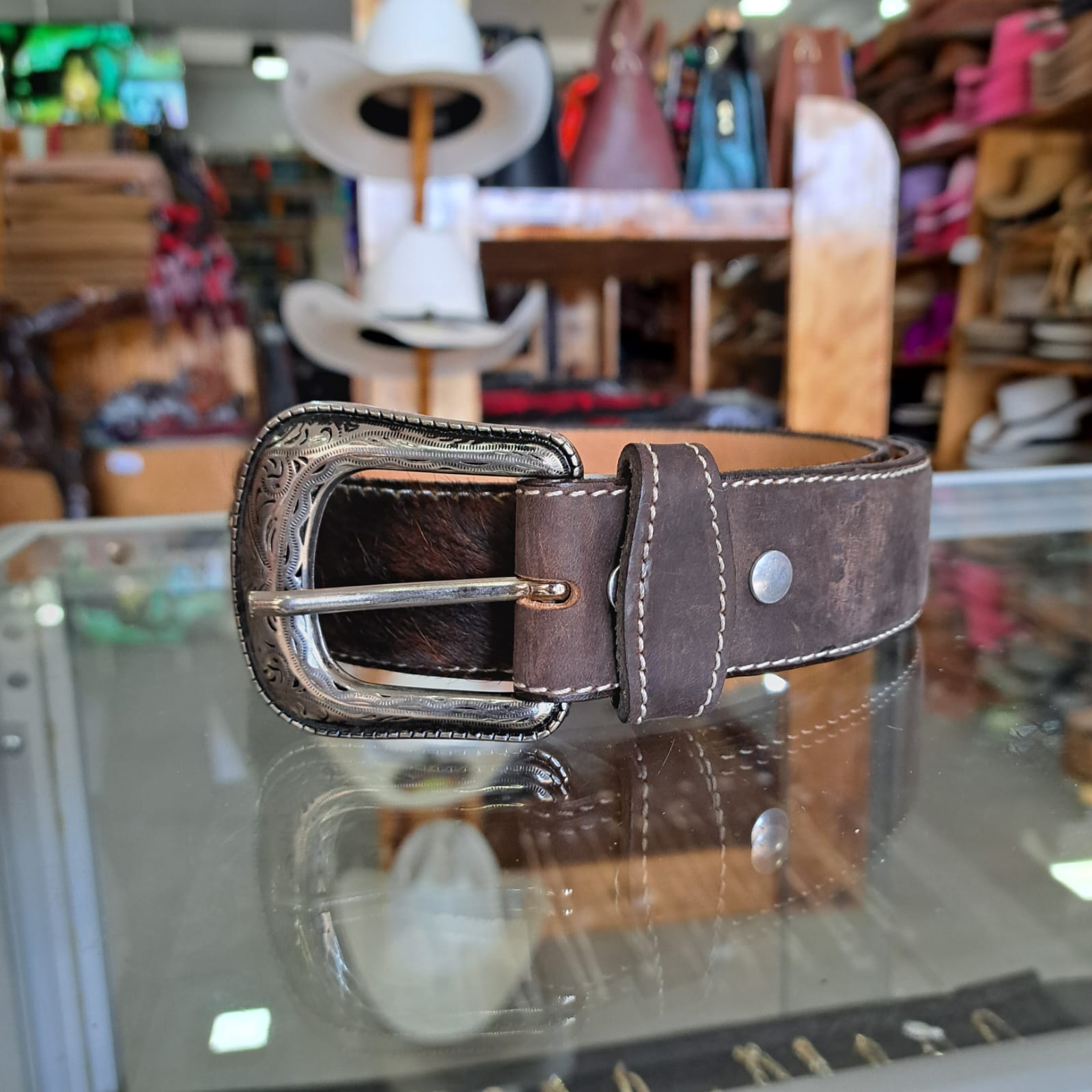 Pinza Vetus Hrc40 Recta